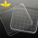 Sterilized Square Petri Dish